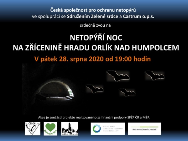 netopyri 1